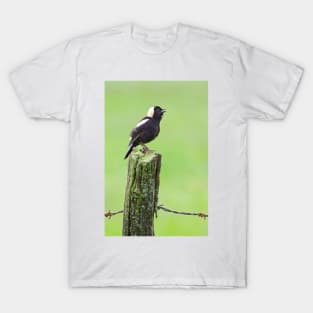 Bobolink T-Shirt